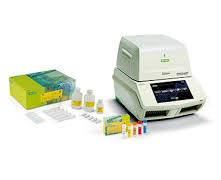 Biorad-Real-Time-PCR-(RT-PCR)